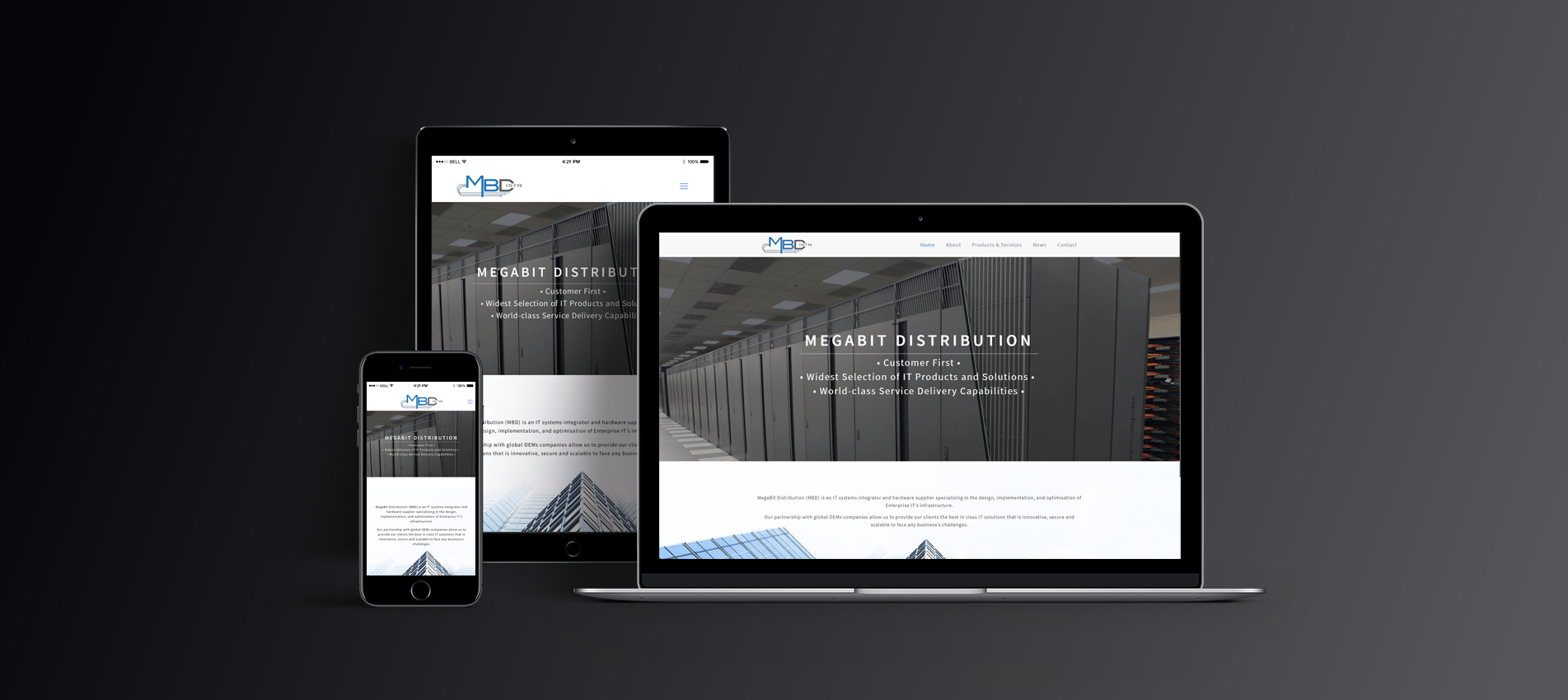 megabit-distribution