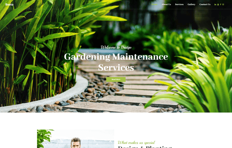 Website Templates | Beata