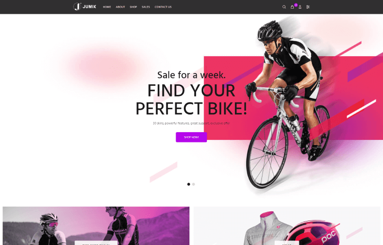 Website Templates | Bicycle