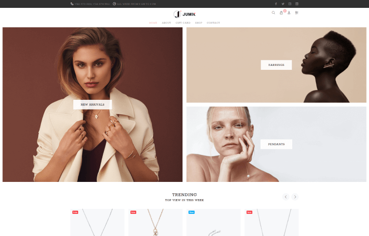 Website Templates | Jewellery