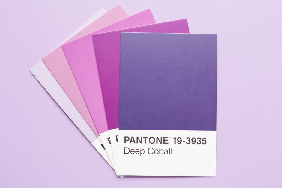 Color swatch cards used to build a brand identity palette